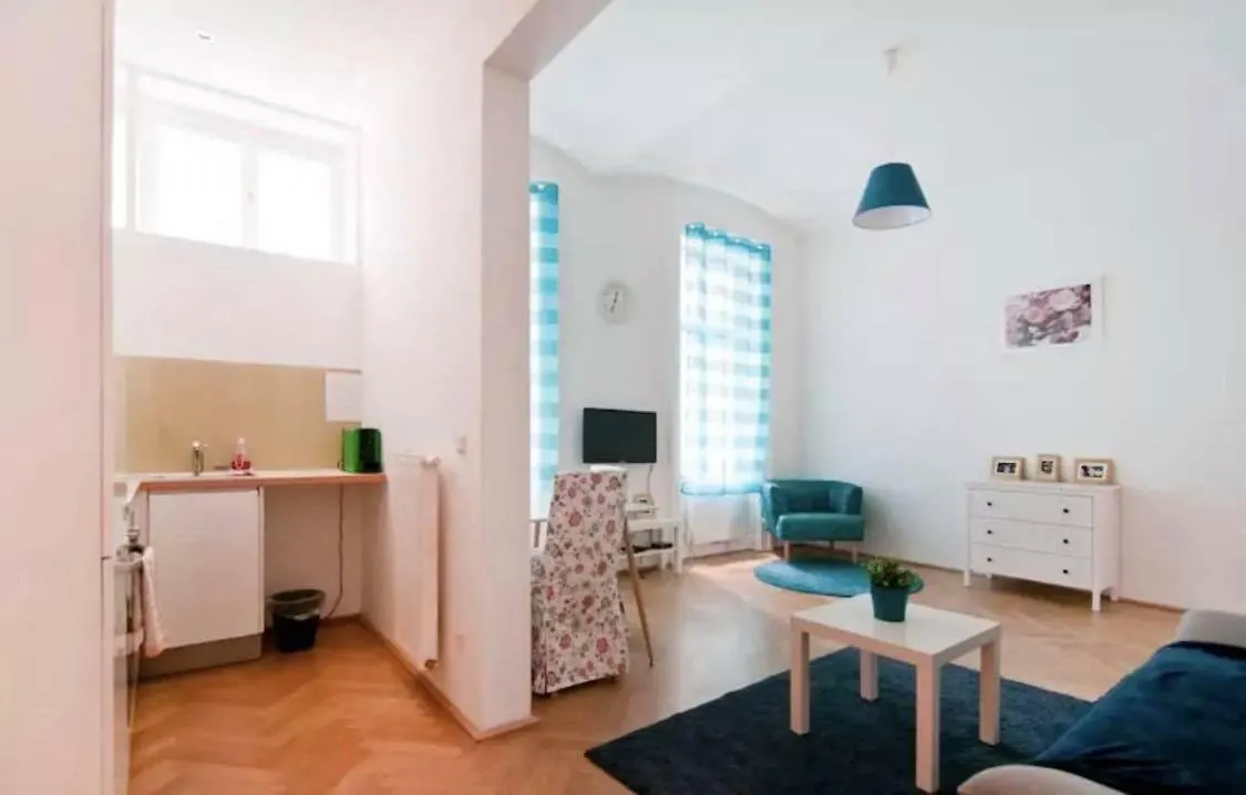 Marvelous Midtown Apartment Vienna
